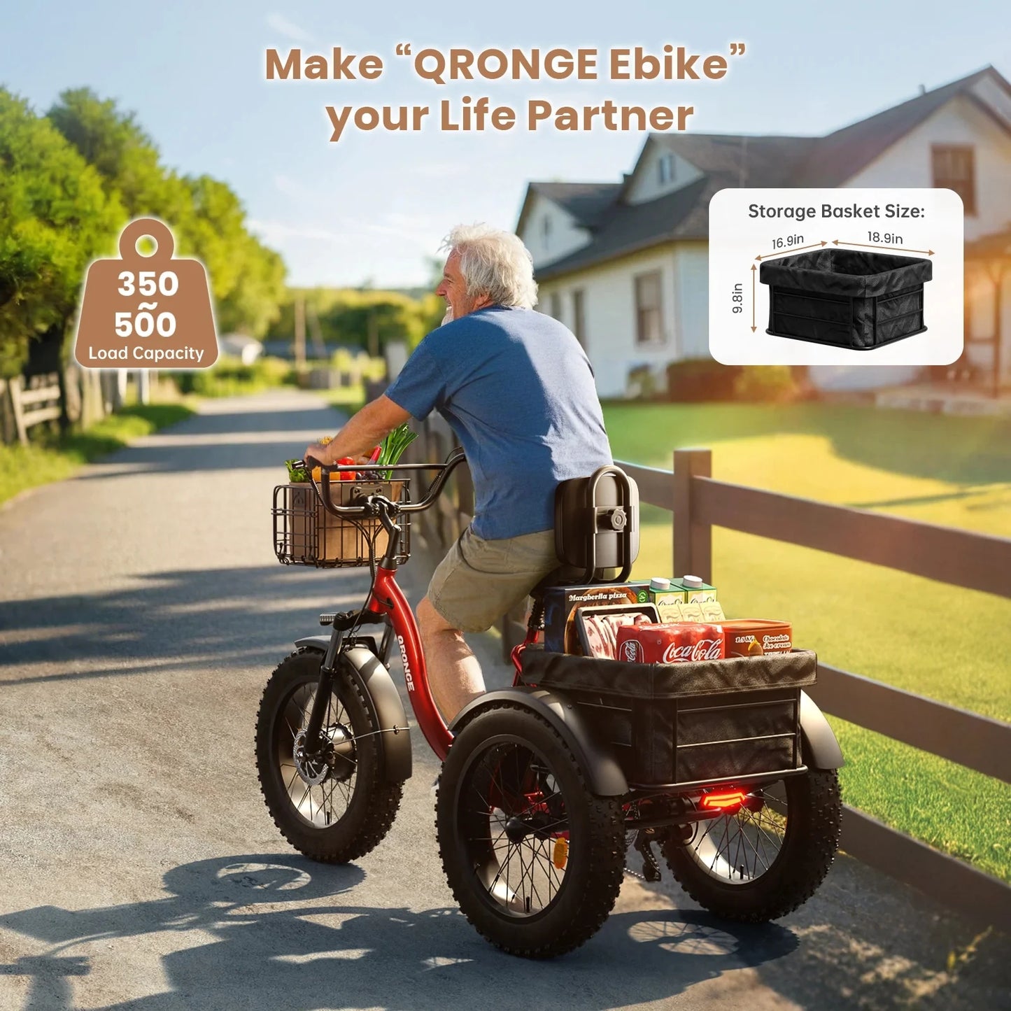 Vitality Wellness Store QRONGE 960W Electric Folding Trike