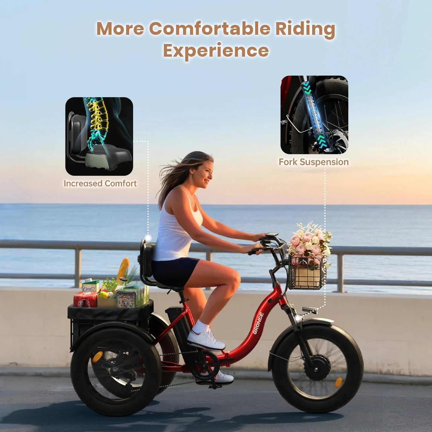 Vitality Wellness Store QRONGE 960W Electric Folding Trike