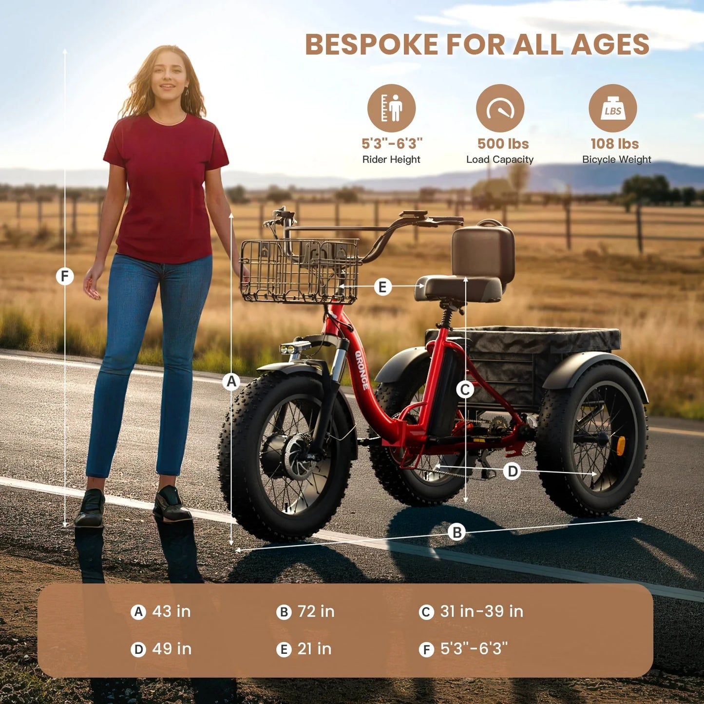 Vitality Wellness Store QRONGE 960W Electric Folding Trike