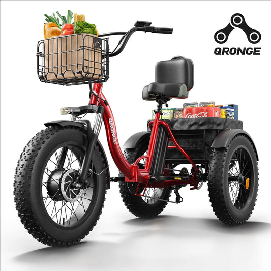 Vitality Wellness Store QRONGE 960W Electric Folding Trike