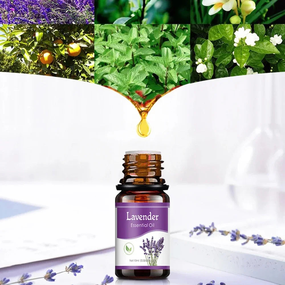 Hign-concerned Aromatic Essential Oil Diffuser Kit With 6 Fragrances