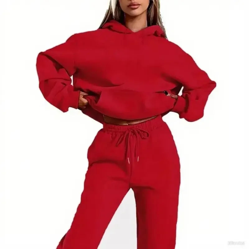 Velvet Warm Hoodie And Jogger Set Unisex Sportswear
