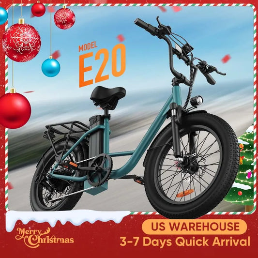 URLIFE E20 1000W Electric Bike 48V 13Ah Removable Battery Dual Disc Brakes
