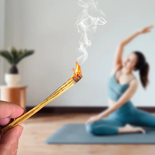 Palo Santo Wood Diffuser Sticks Purifying Healing for Meditation